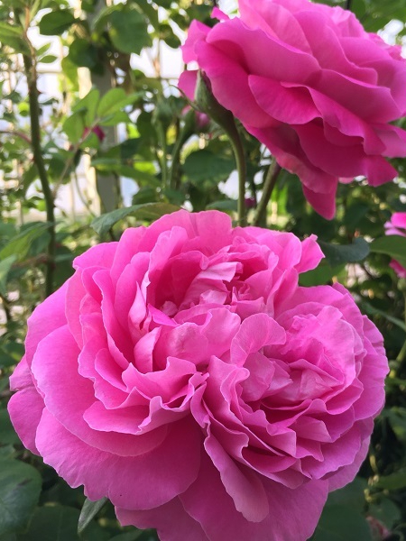 0e6afd26981383cbd6f259babae2edf3_edited