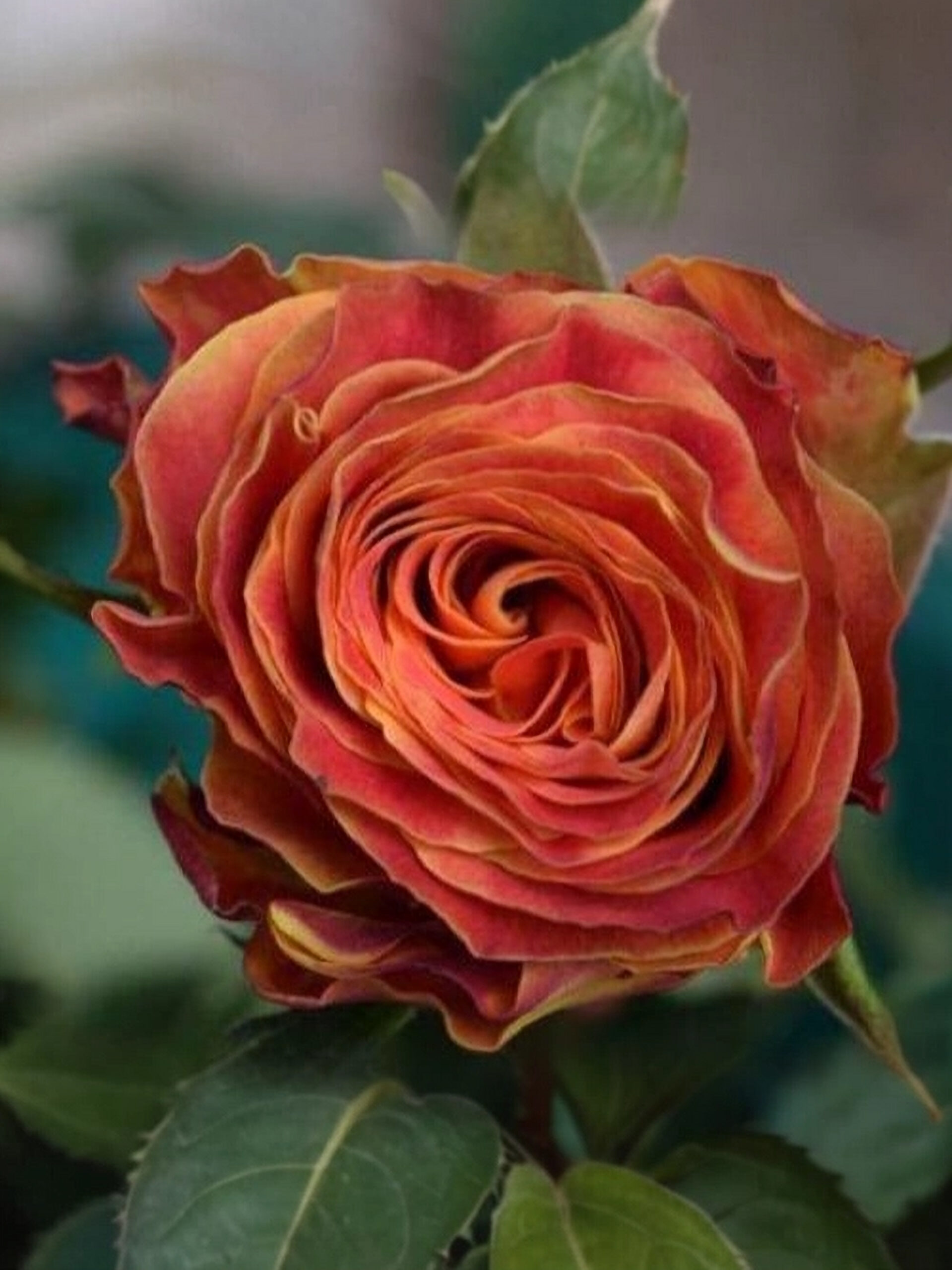 2021-07-05-23-37-03_edited