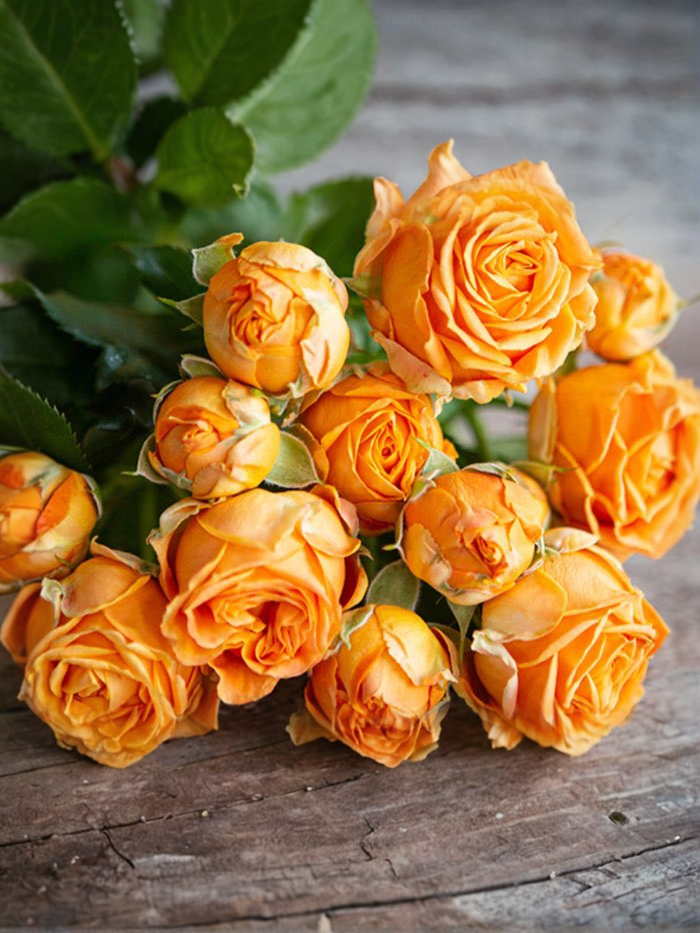 2021-08-14-16-57-57_edited