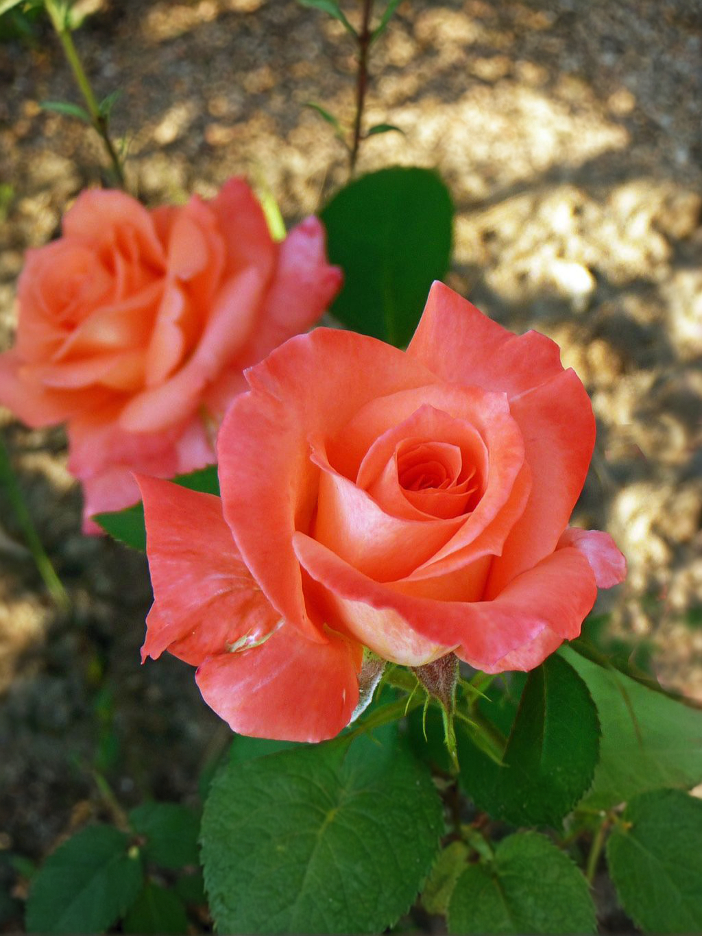 2021-08-14-18-14-24_edited