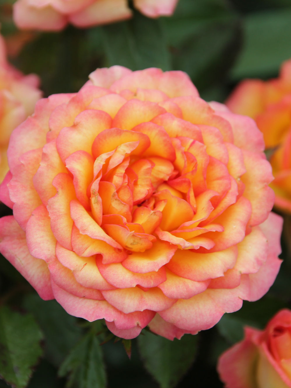 2021-09-23-21-56-55_edited