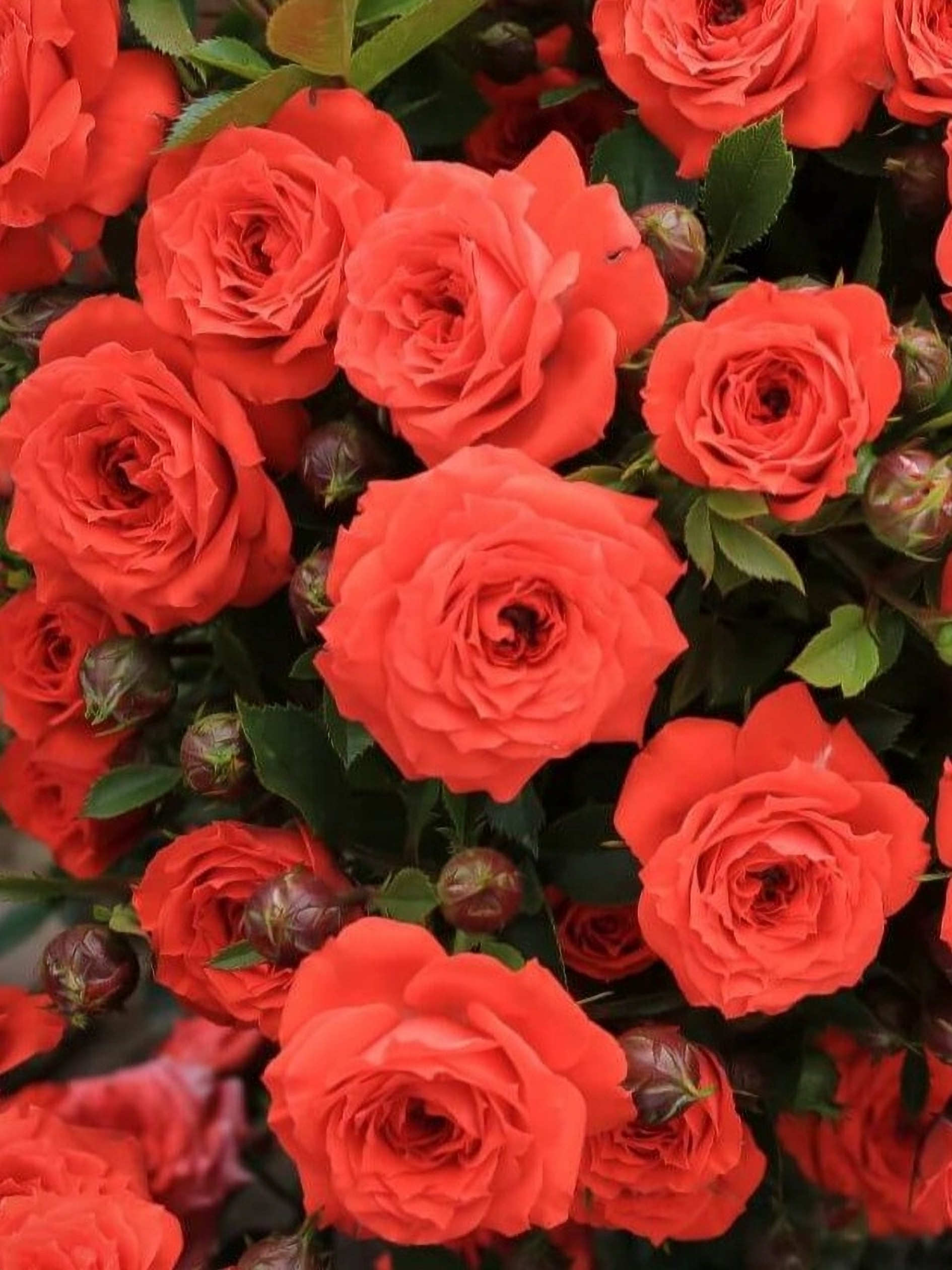 2021-09-24-16-16-29_edited_edited