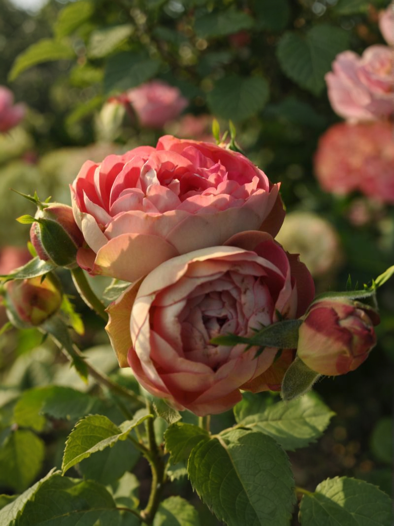 2021-09-24-17-54-18_edited