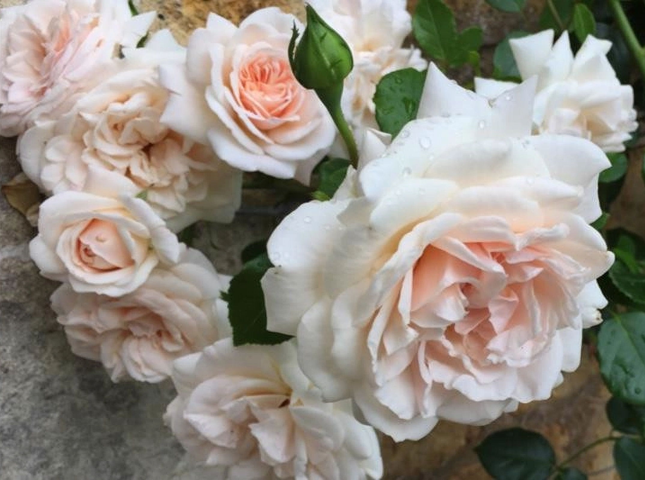 2021-09-25-20-08-29_edited