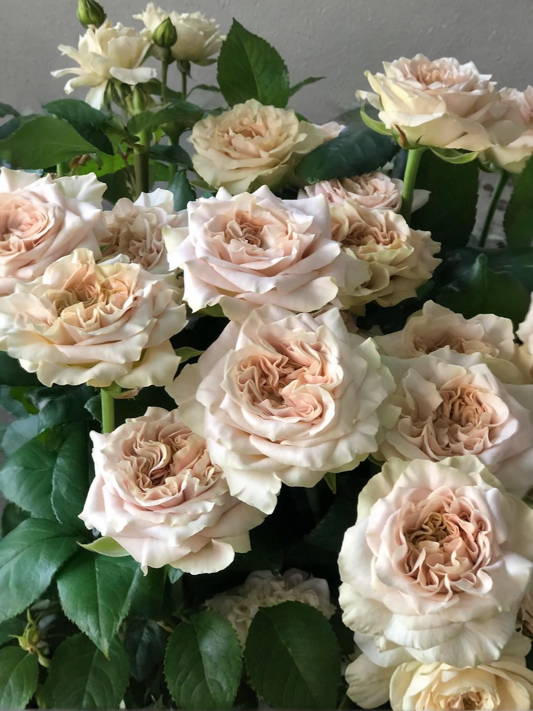 2021-09-25-20-50-45_edited