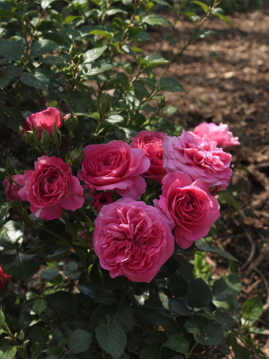 2021-09-25-20-57-44_edited_edited