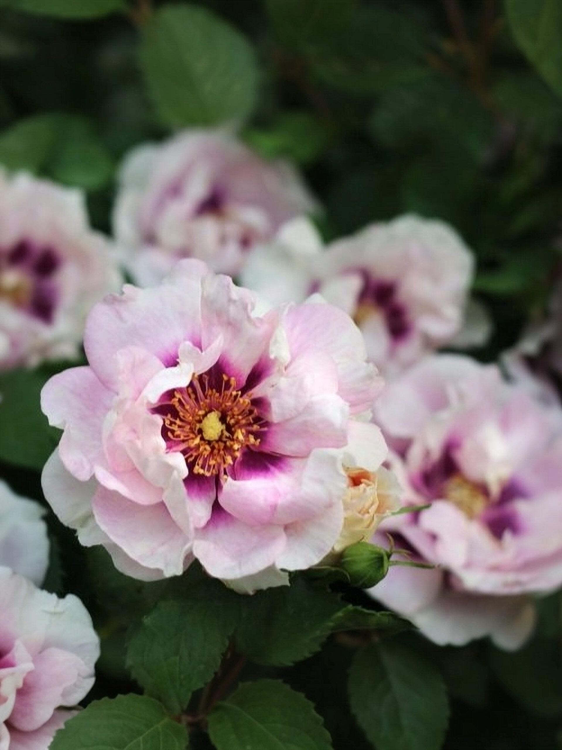 2021-09-26-18-33-30_edited