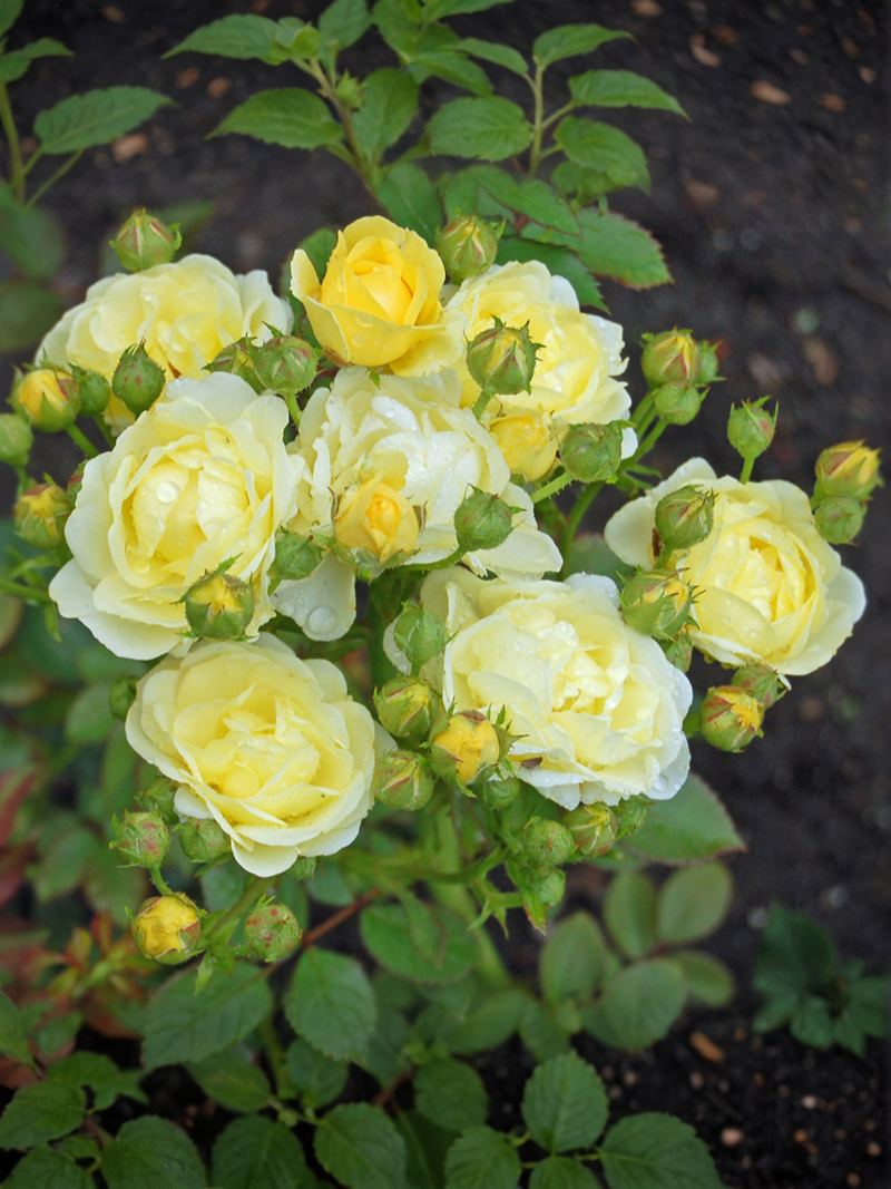 2021-09-26-19-06-15_edited