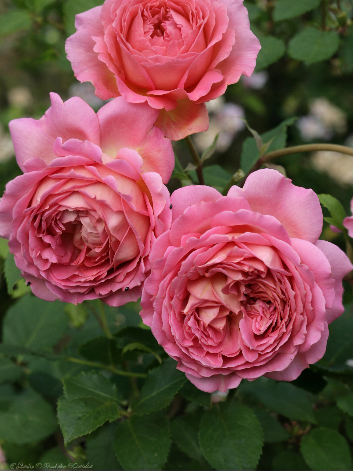 2021-11-23-18-22-15_edited