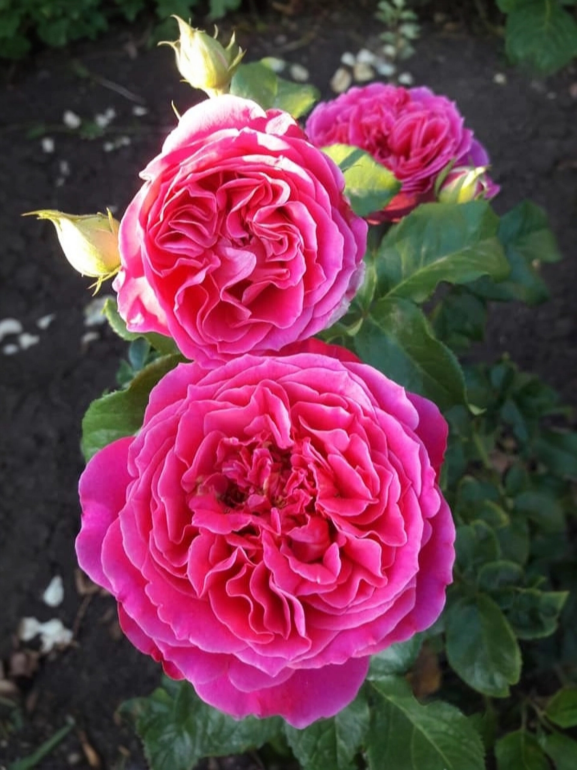 2021-11-23-18-57-03_edited_edited