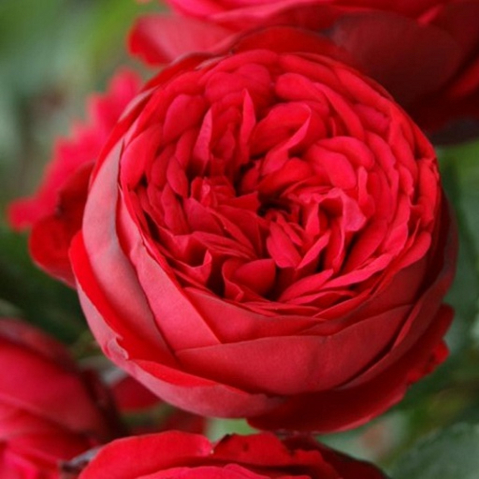 2021-11-23-19-35-43_edited