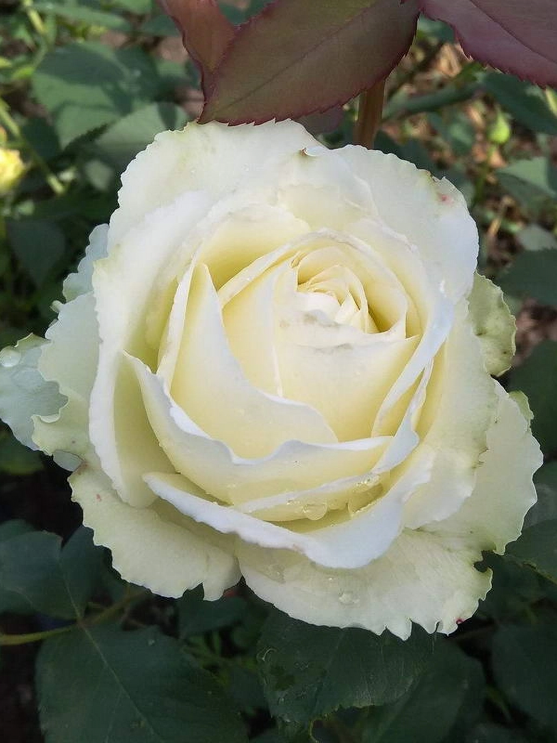 2021-11-23-22-51-31_edited