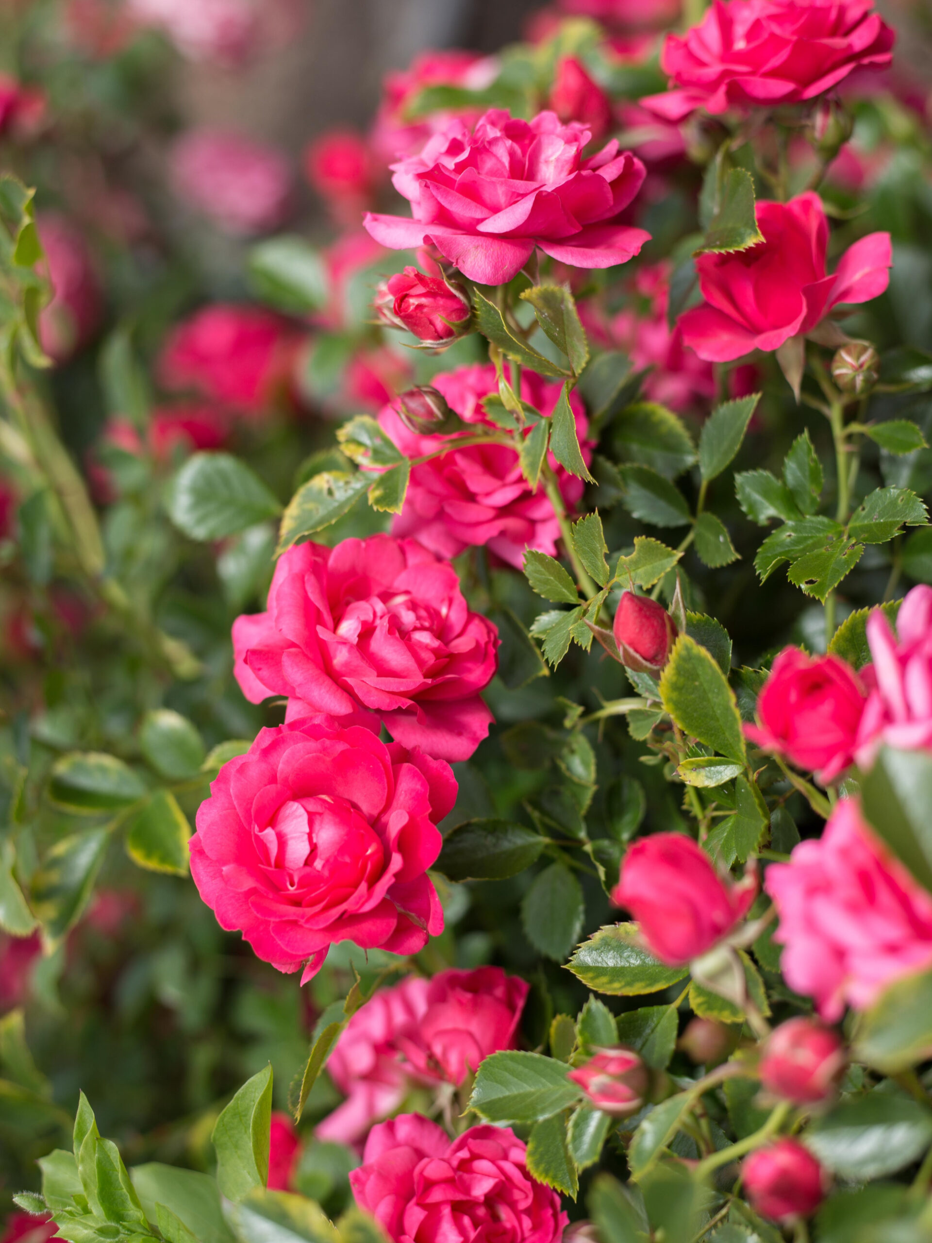 2021-11-26-18-48-57_edited