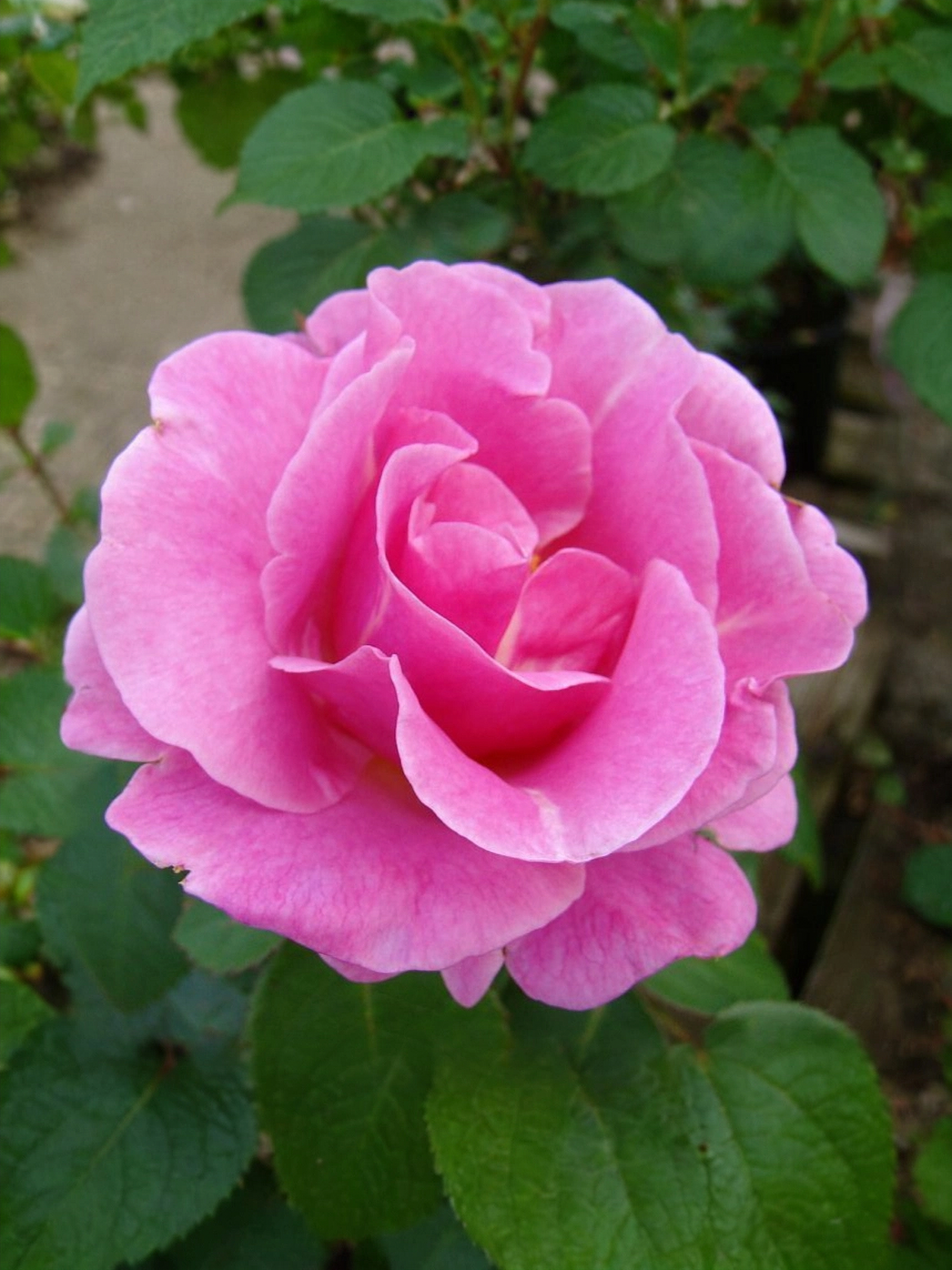 7f05980a685f65af7fe1dcd696b14bd9_edited_edited