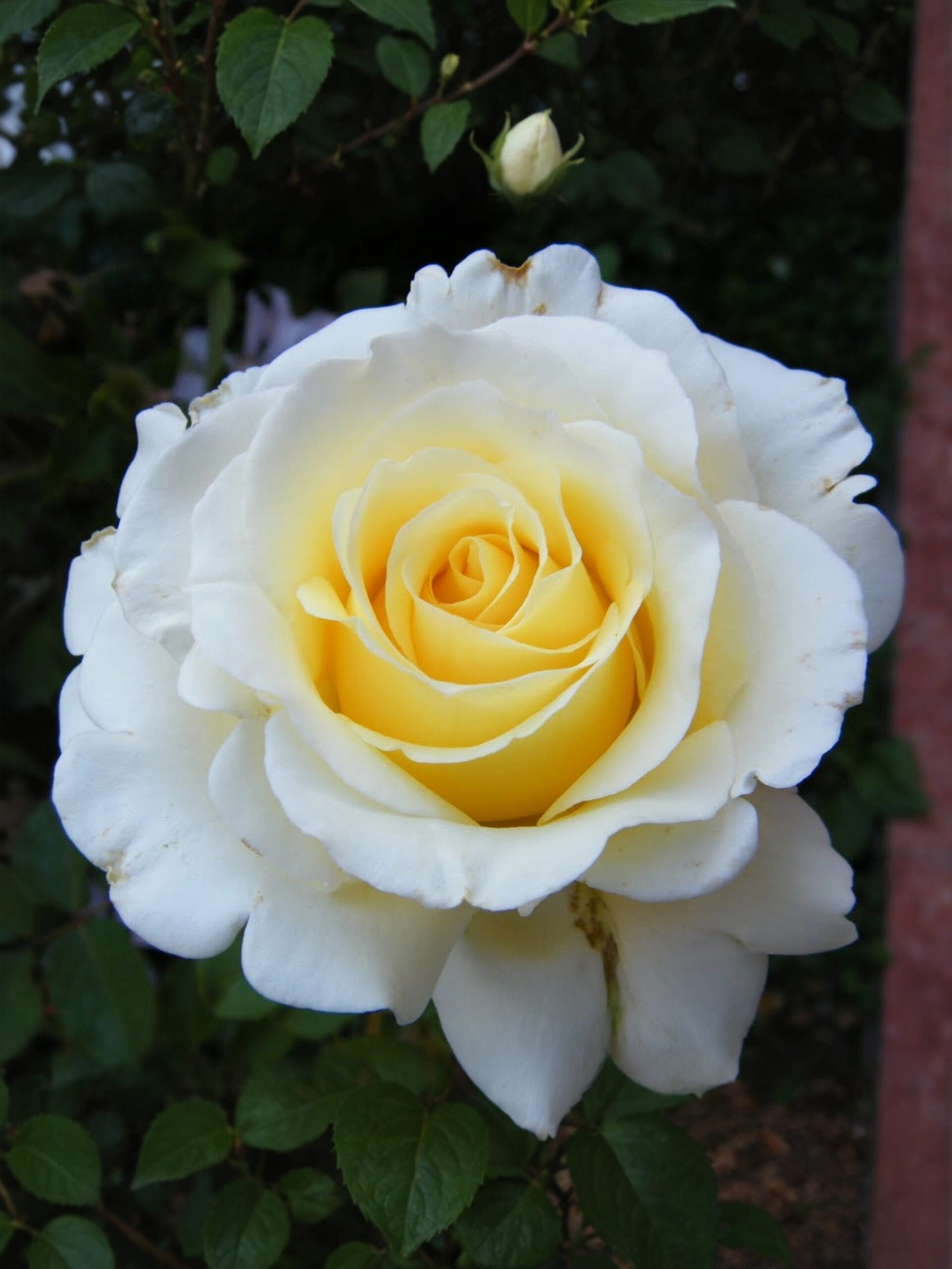 Анастасия 1_edited