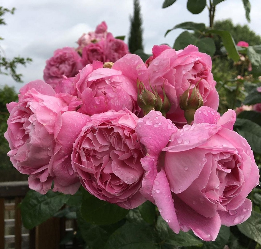 b1da5438da23399c5ddf4e8777f8599c_edited