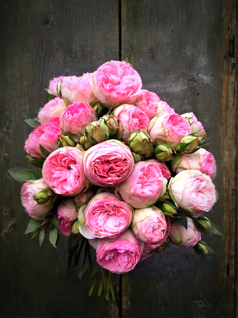 брайдл пиано 3_edited_edited_edited