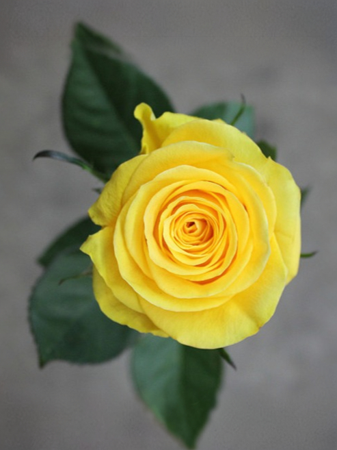 брайтон _edited_edited