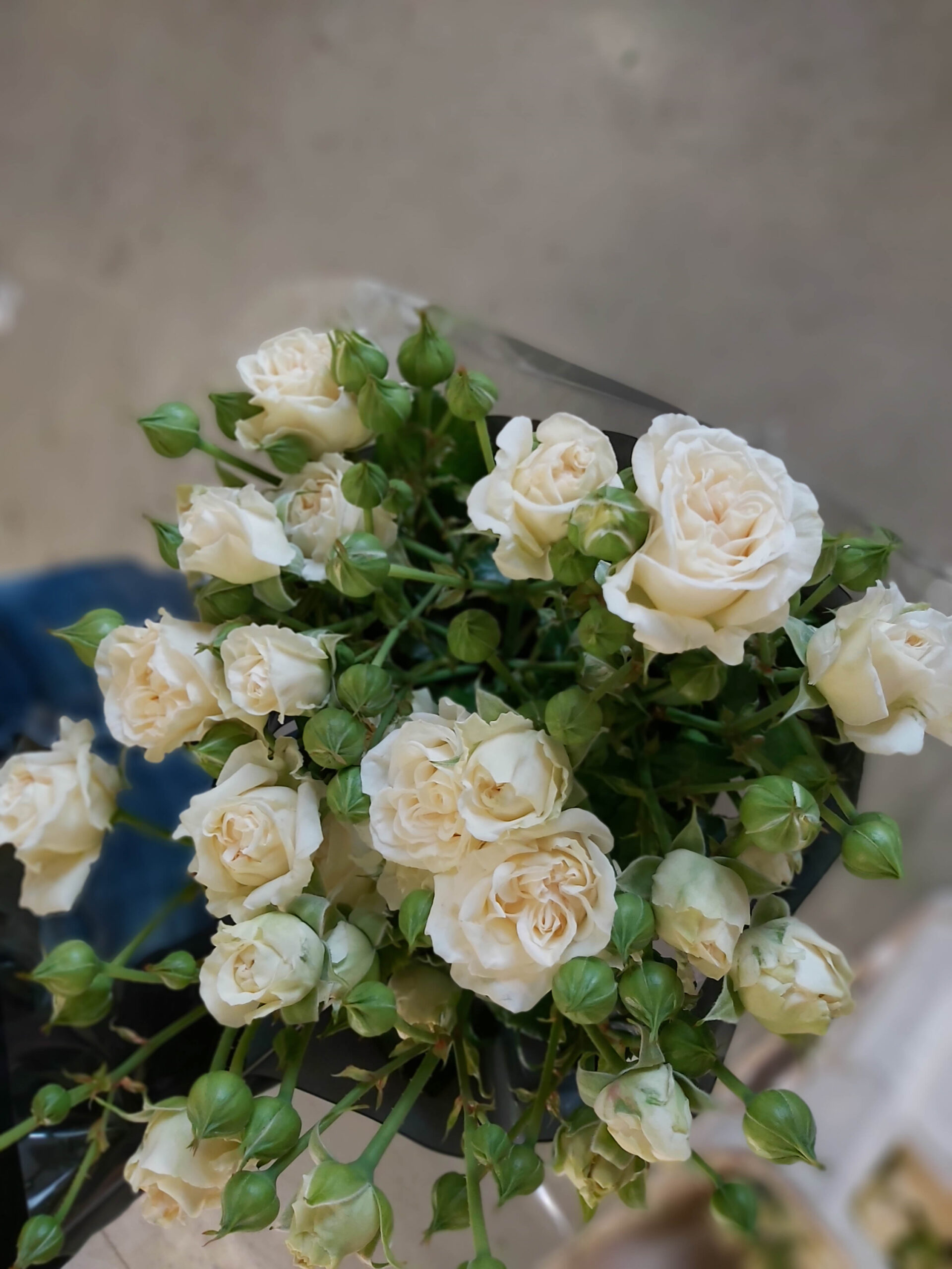 бридалфлоу2_edited_edited