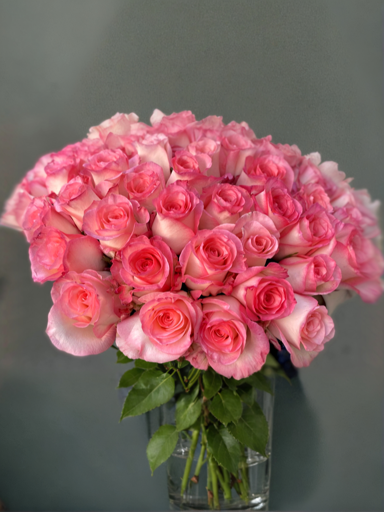 Булевард_edited_edited (1)