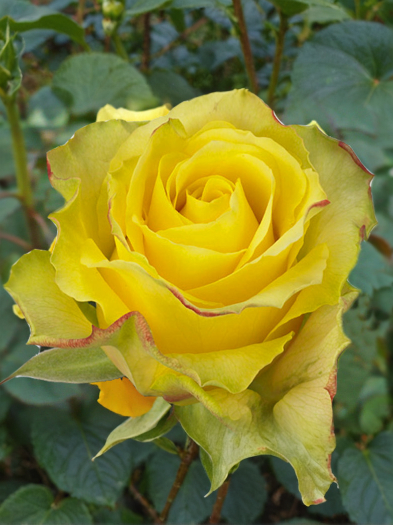 Дежавю1_edited