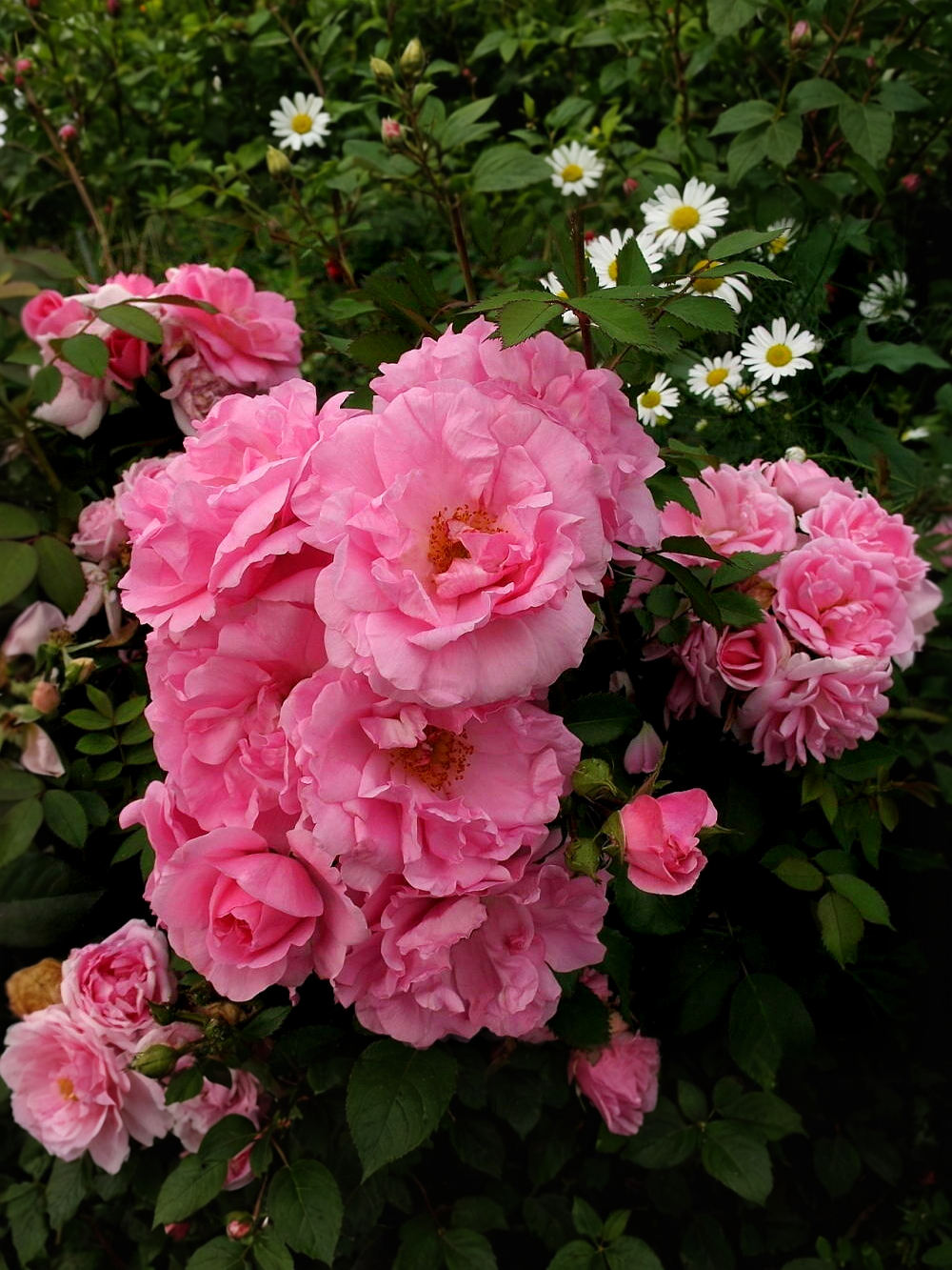 джон дэвис 2_edited_edited