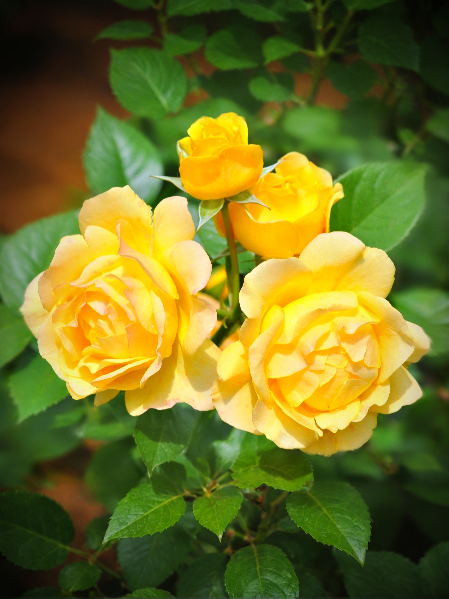 Голден Парфюм_edited