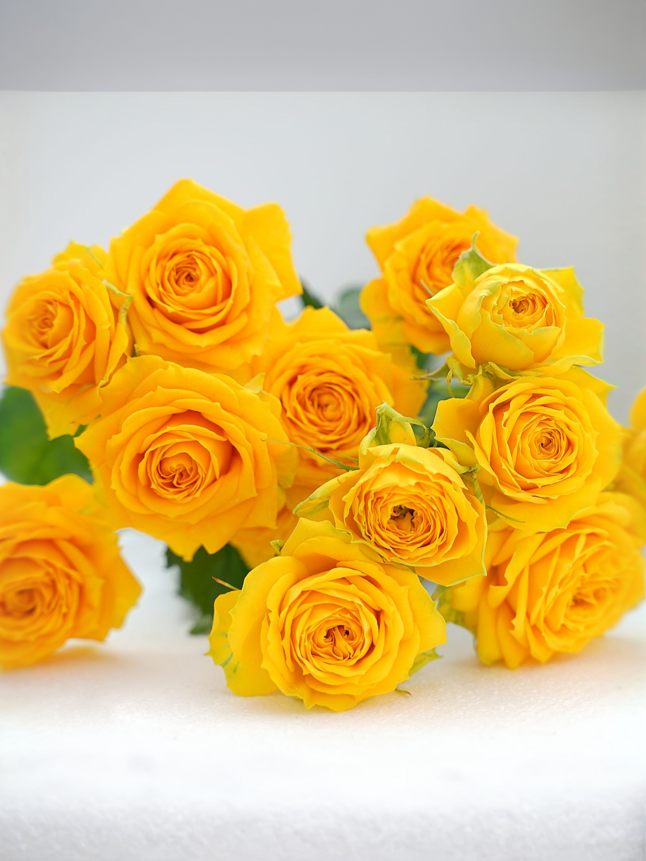 Голден Трендсеттер2_edited