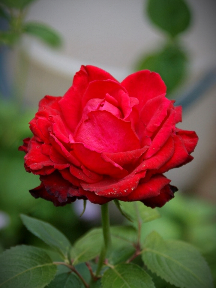 Гранд Гала2_edited_edited