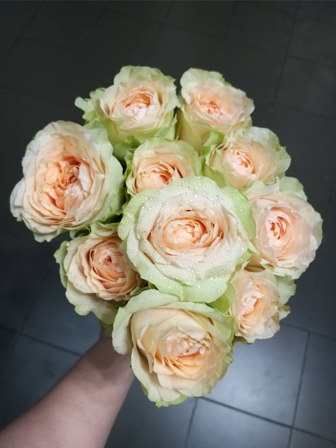 гравити 3 _edited_edited