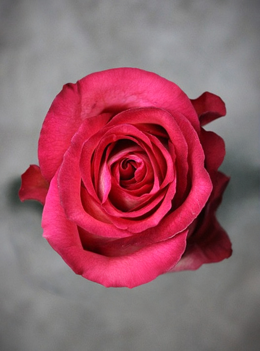 игуасу _edited_edited_edited