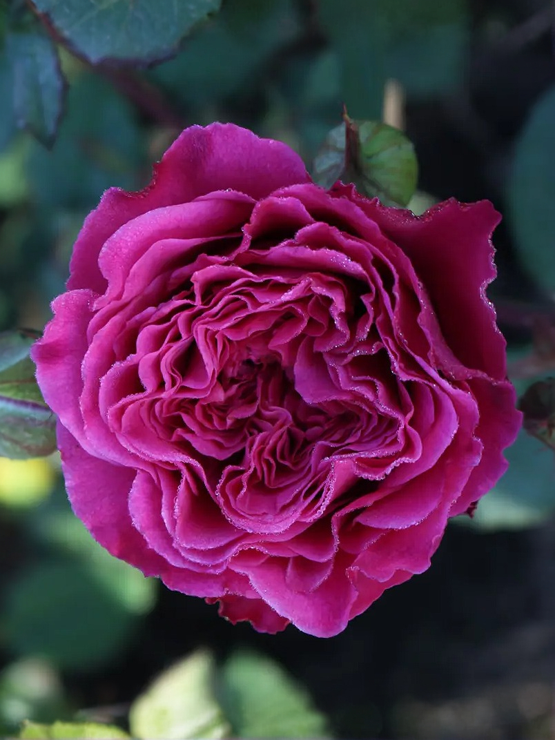 икеа 1_edited_edited