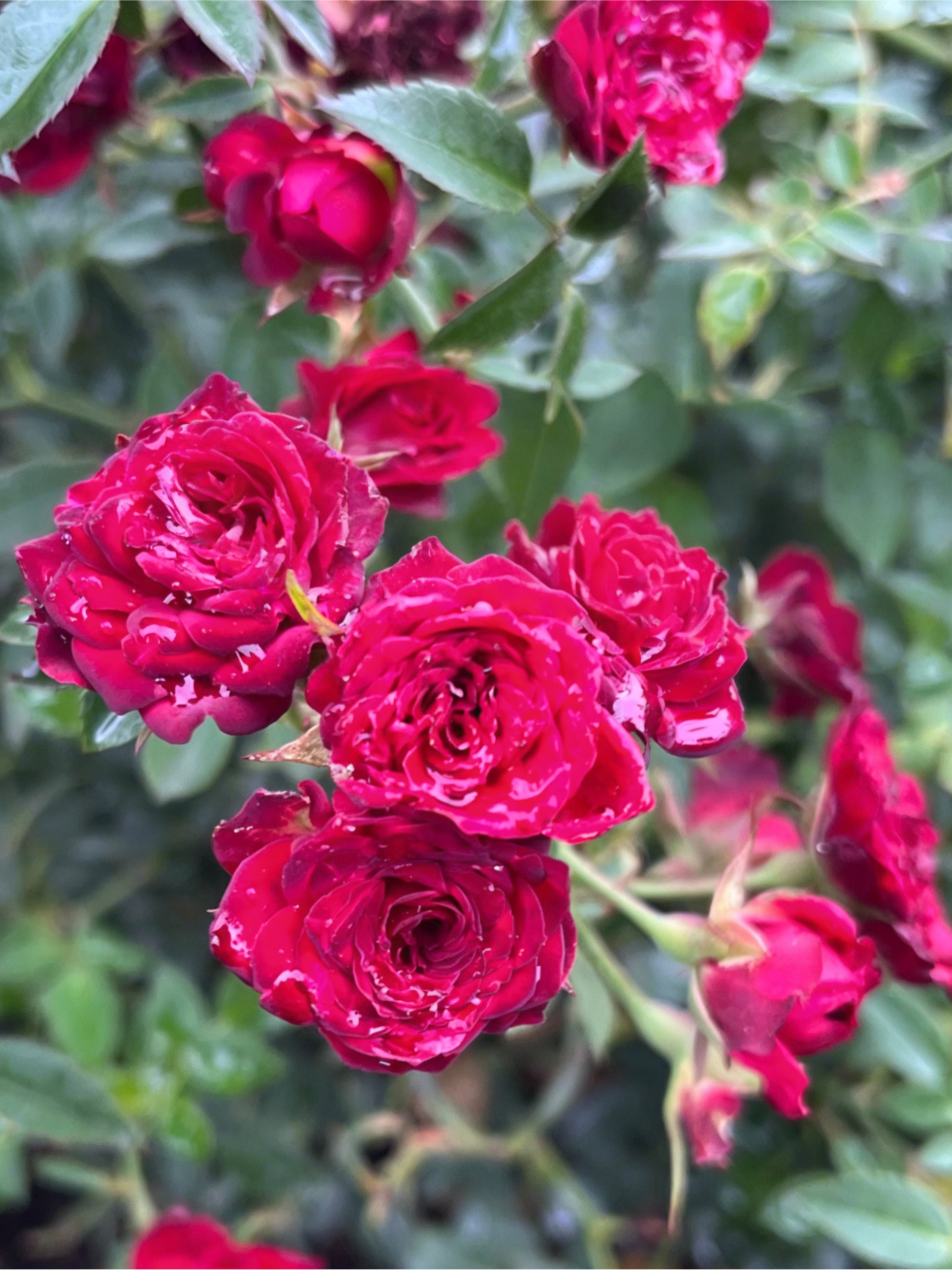 IMG_3663_edited_edited_edited