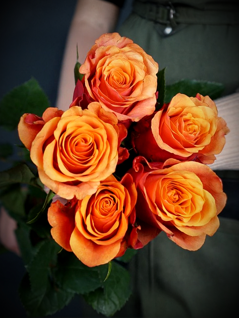 Испания печать