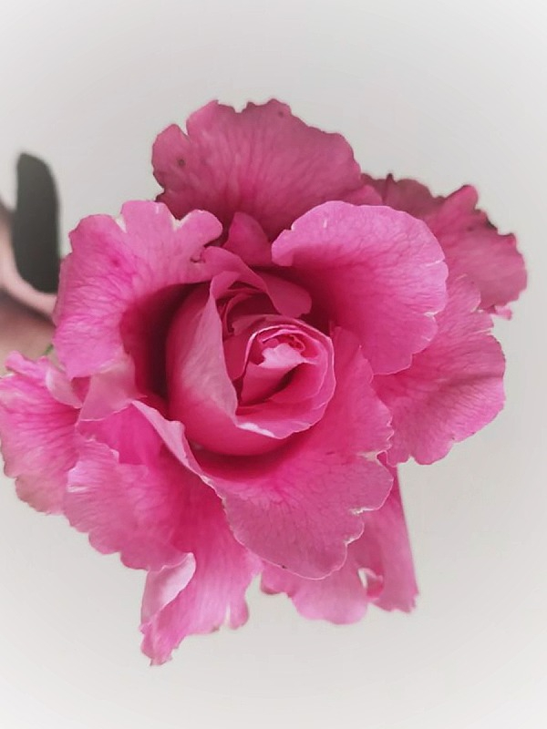 каната 1_edited_edited