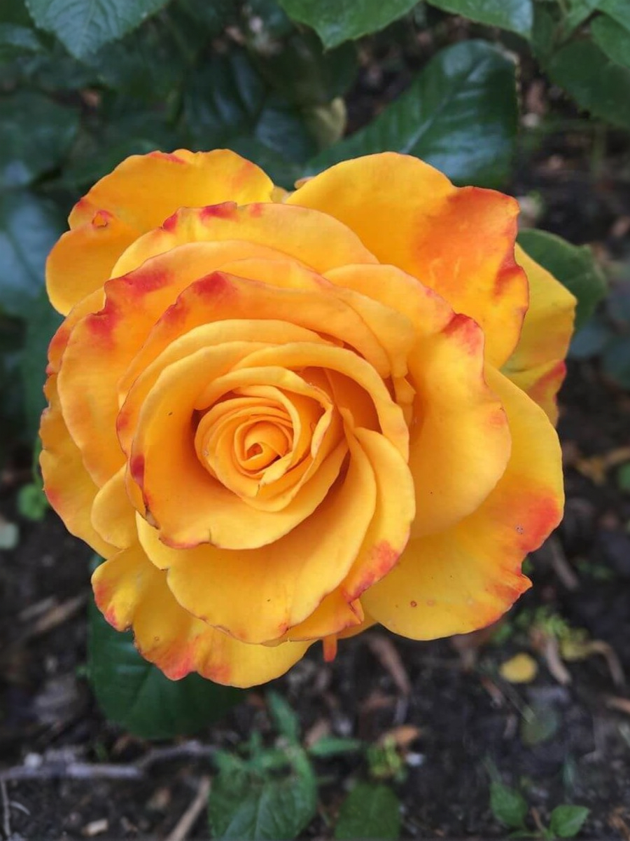 керио 2 _edited_edited