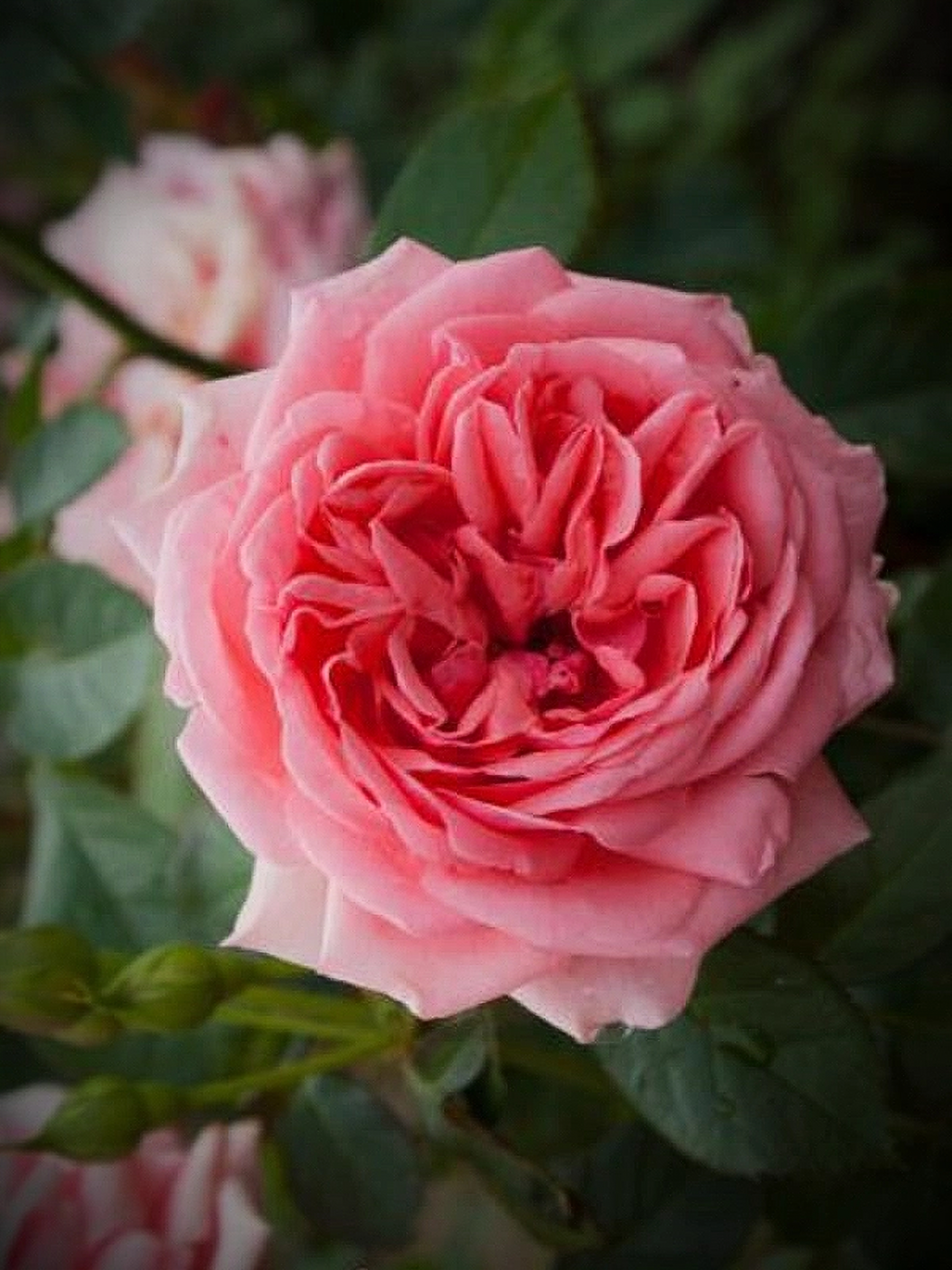 Кимоно _edited_edited