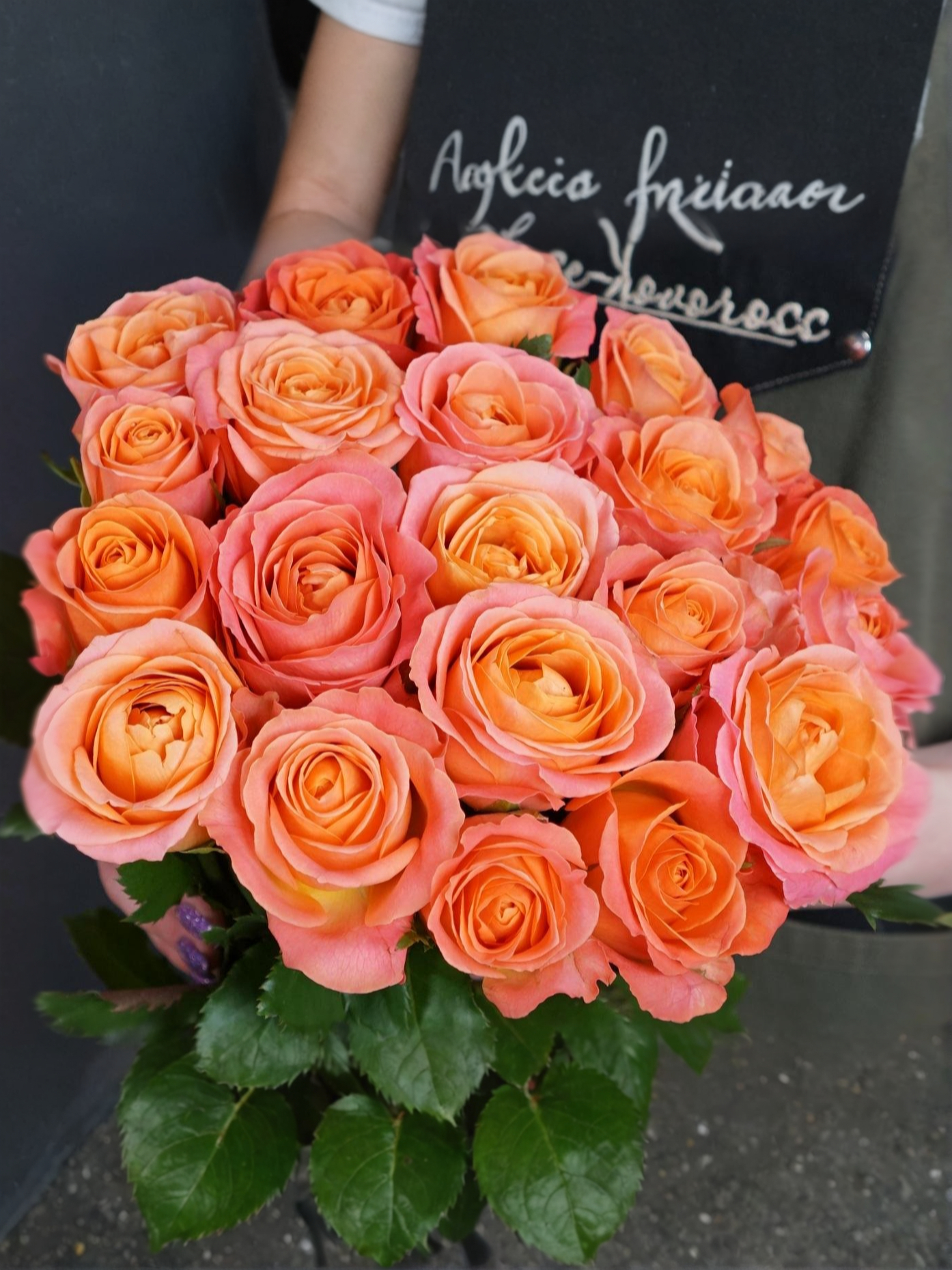 Кларенс_edited