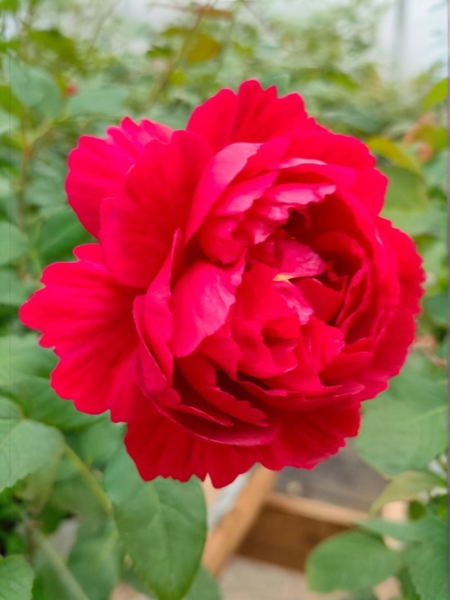 Лигар2302_edited_edited