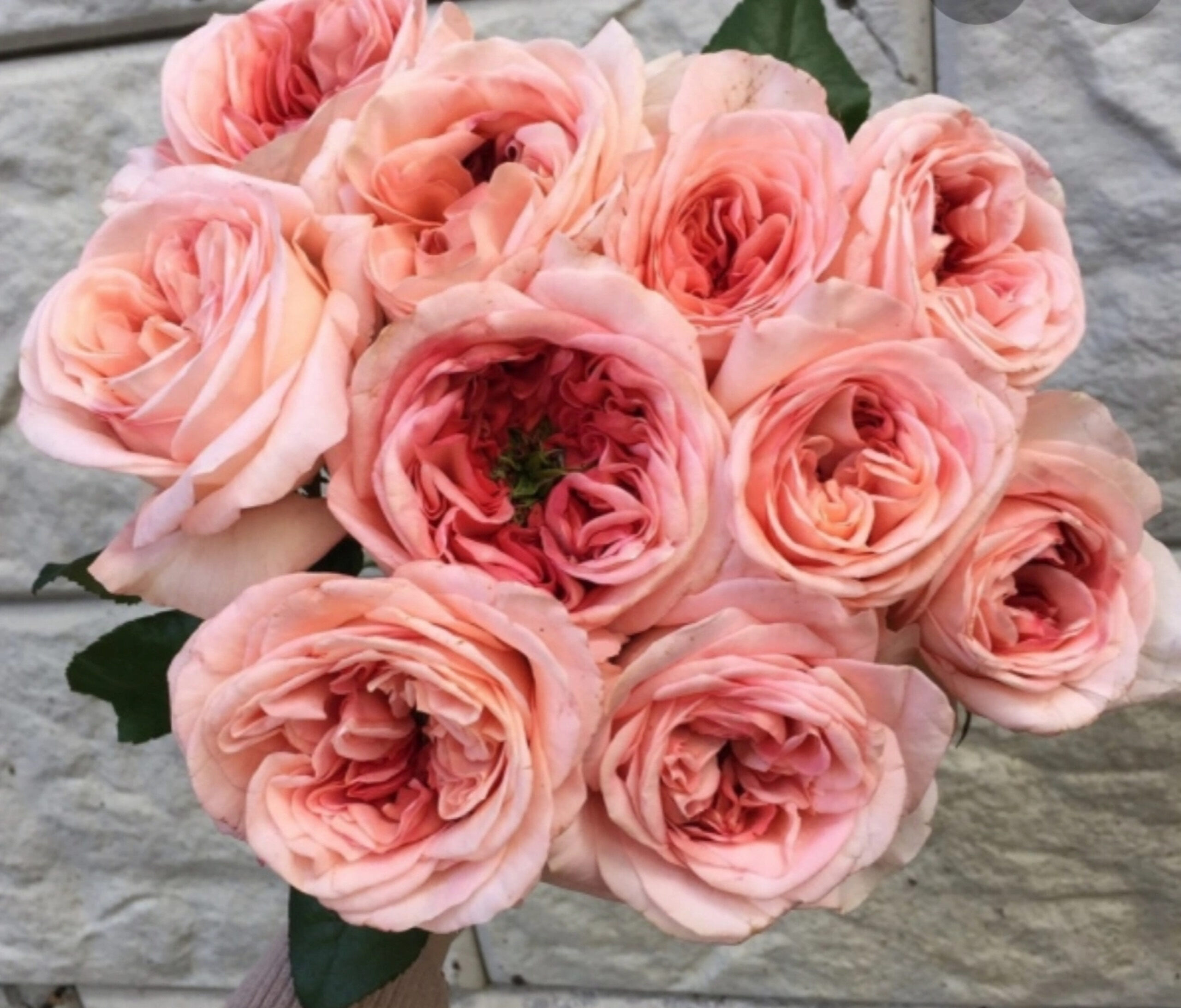 лондон ай 2_edited