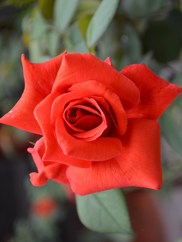 маниту 2_edited_edited