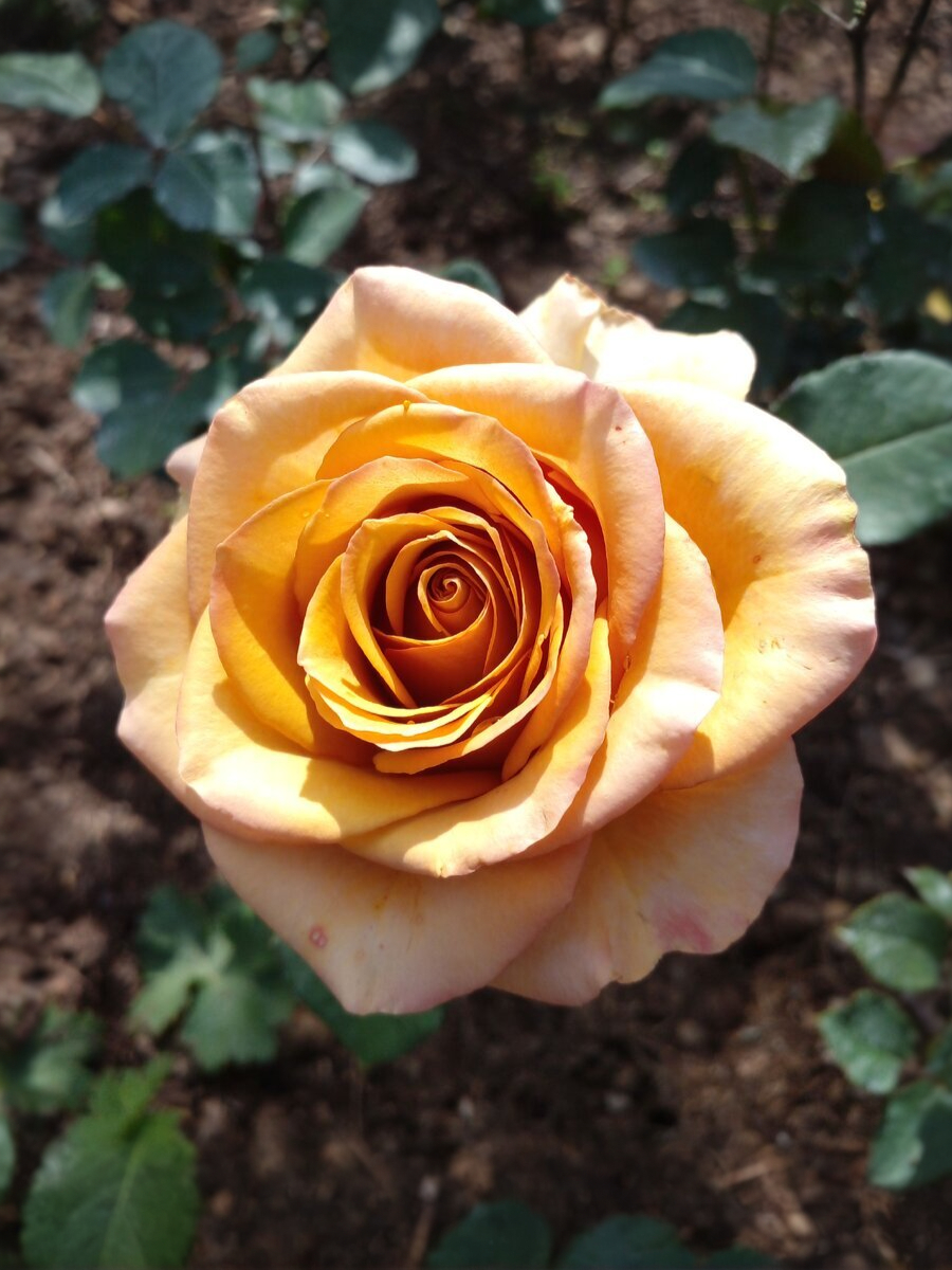 Марракеш3_edited_edited