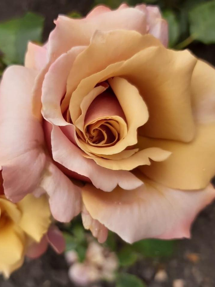 меджик момент_edited_edited