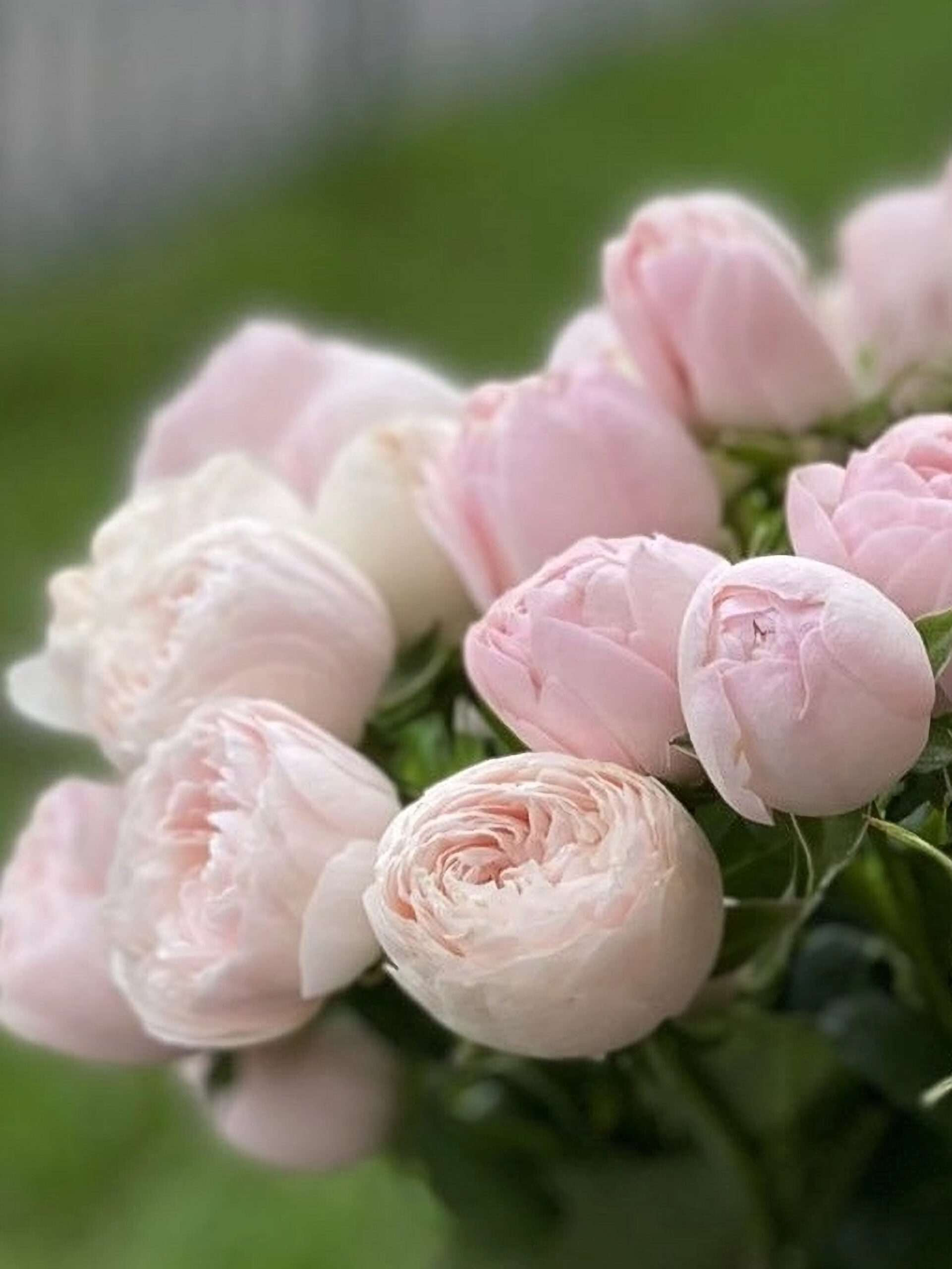 мэн 5_edited_edited