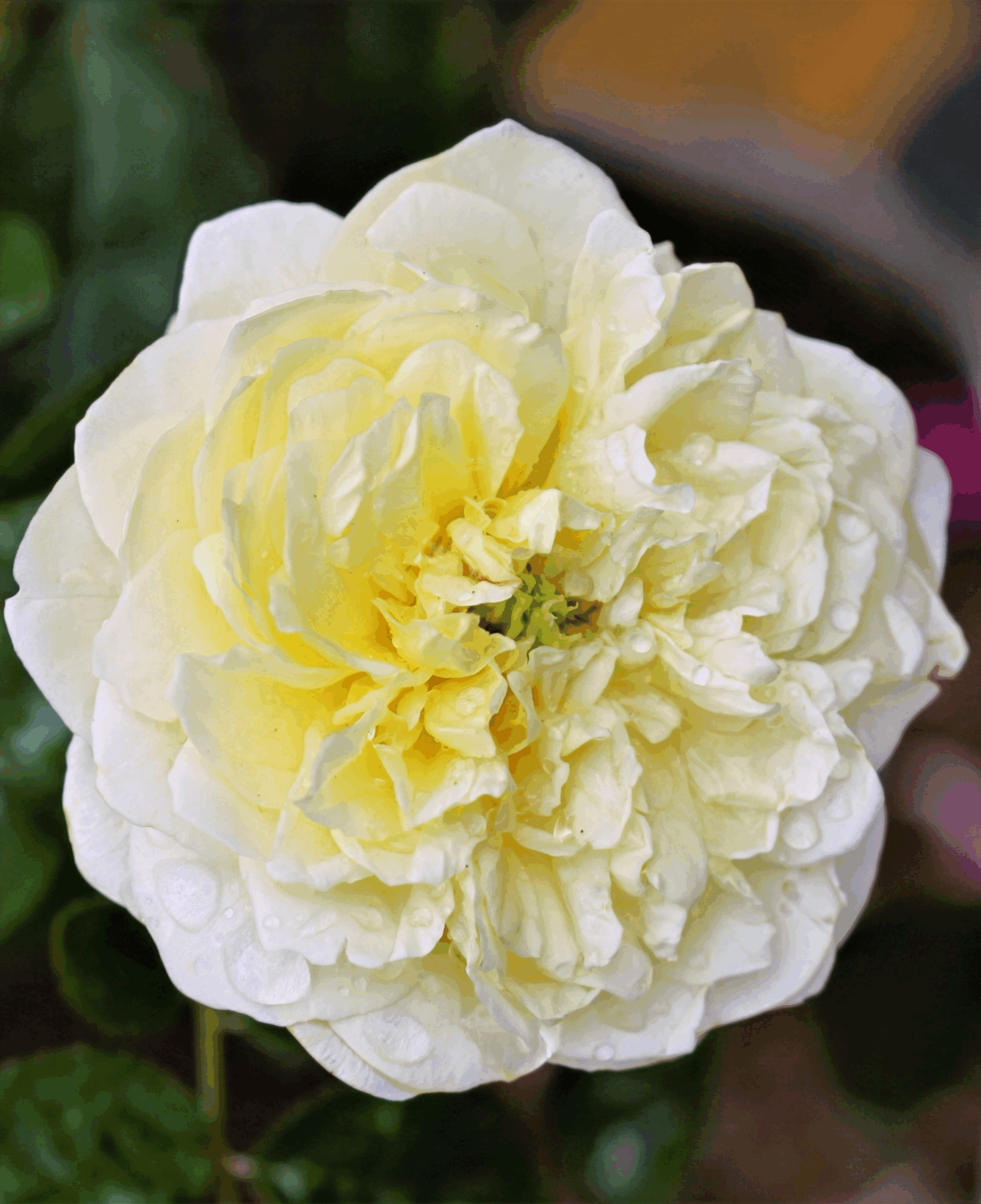 меян_edited_edited