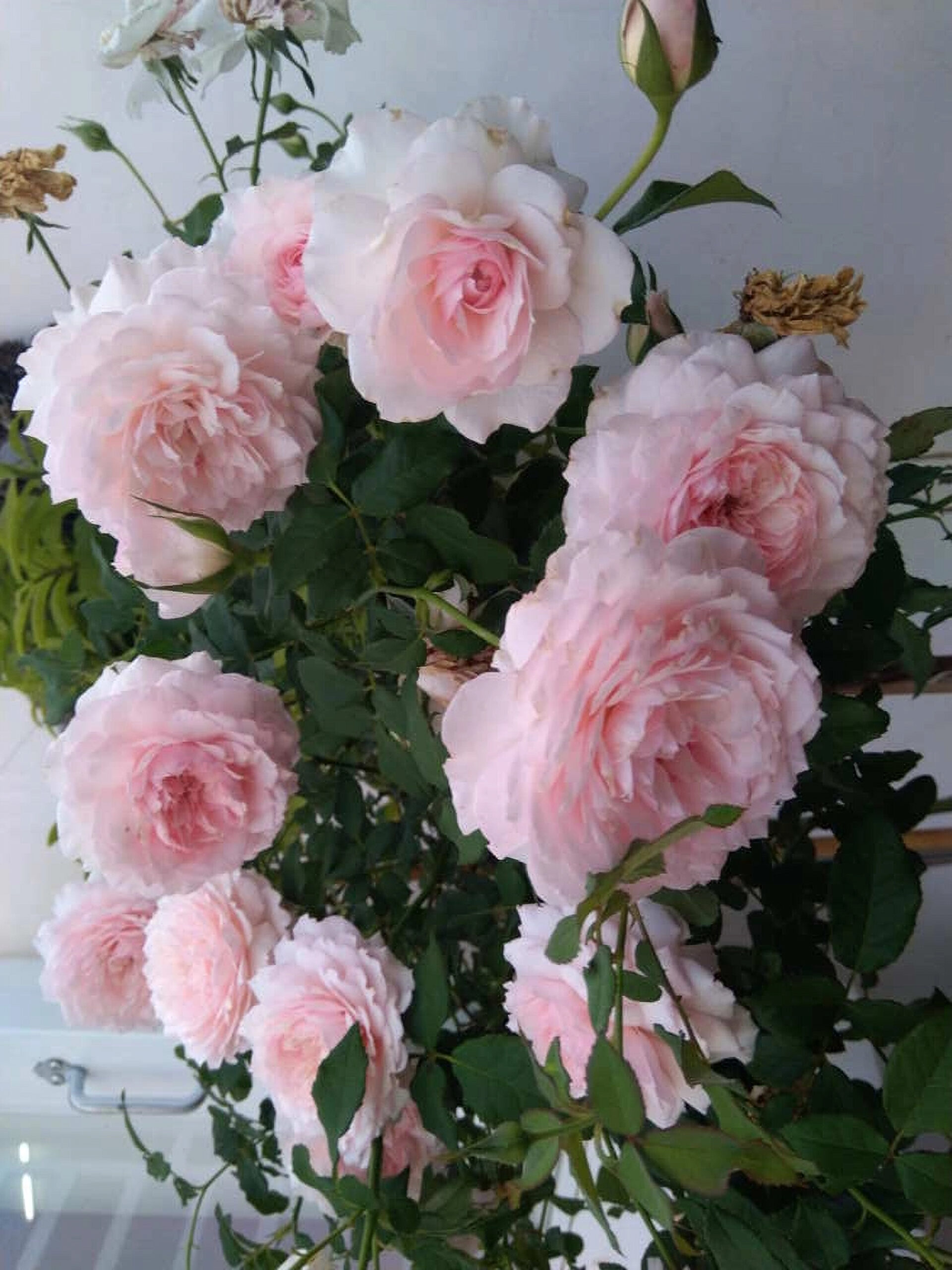 мисаки2_edited_edited