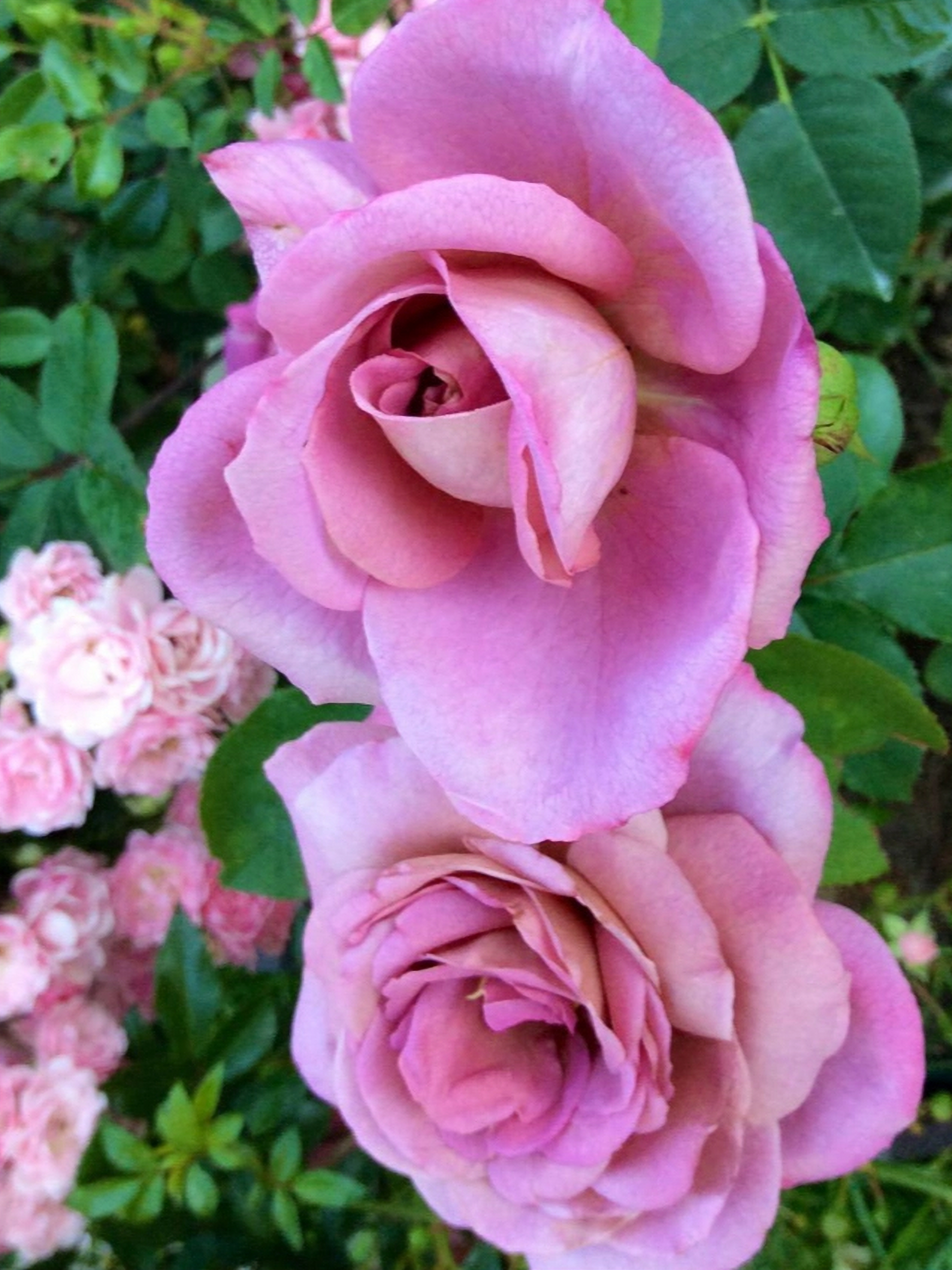 нимбус3_edited_edited