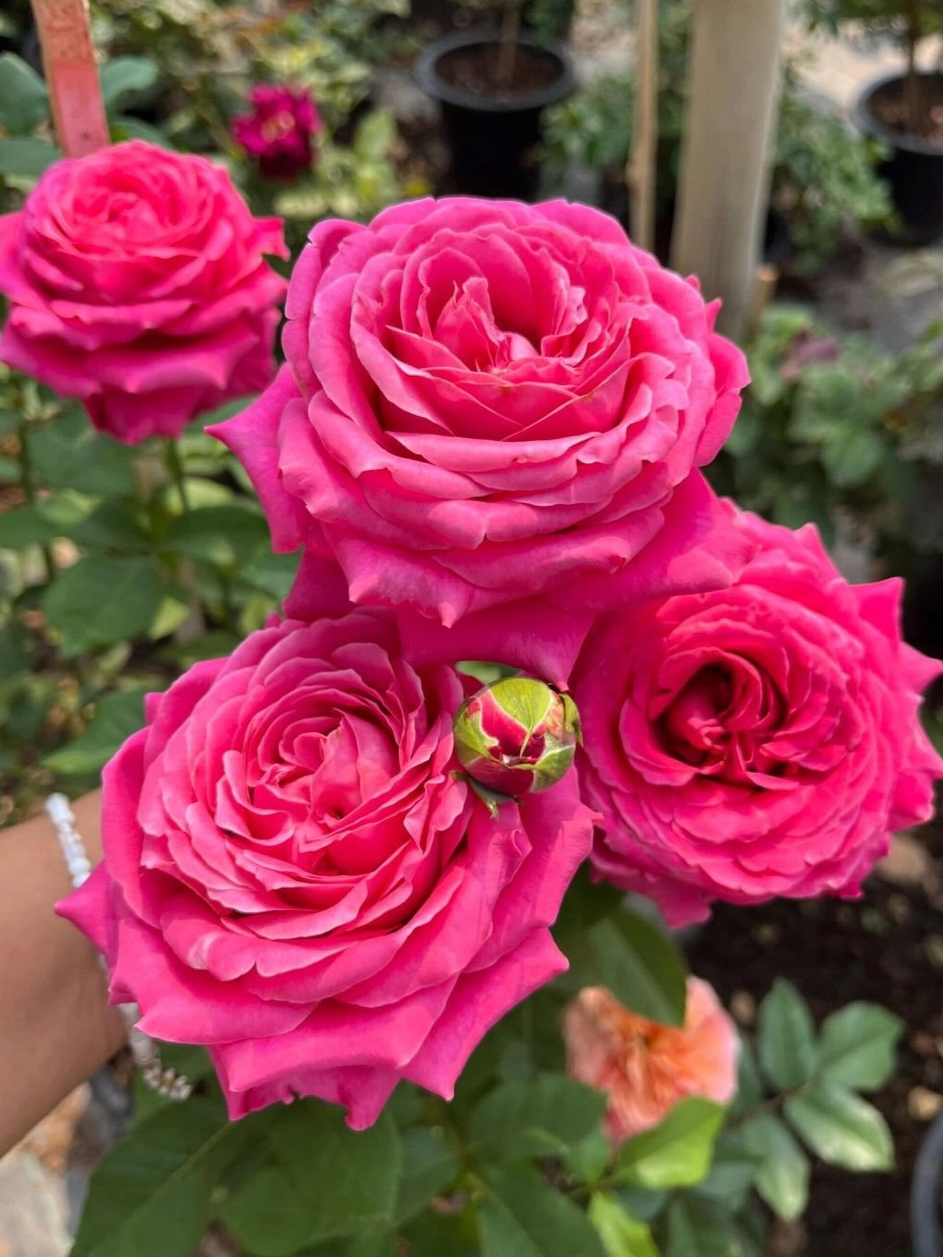 Ол фо Лав3_edited