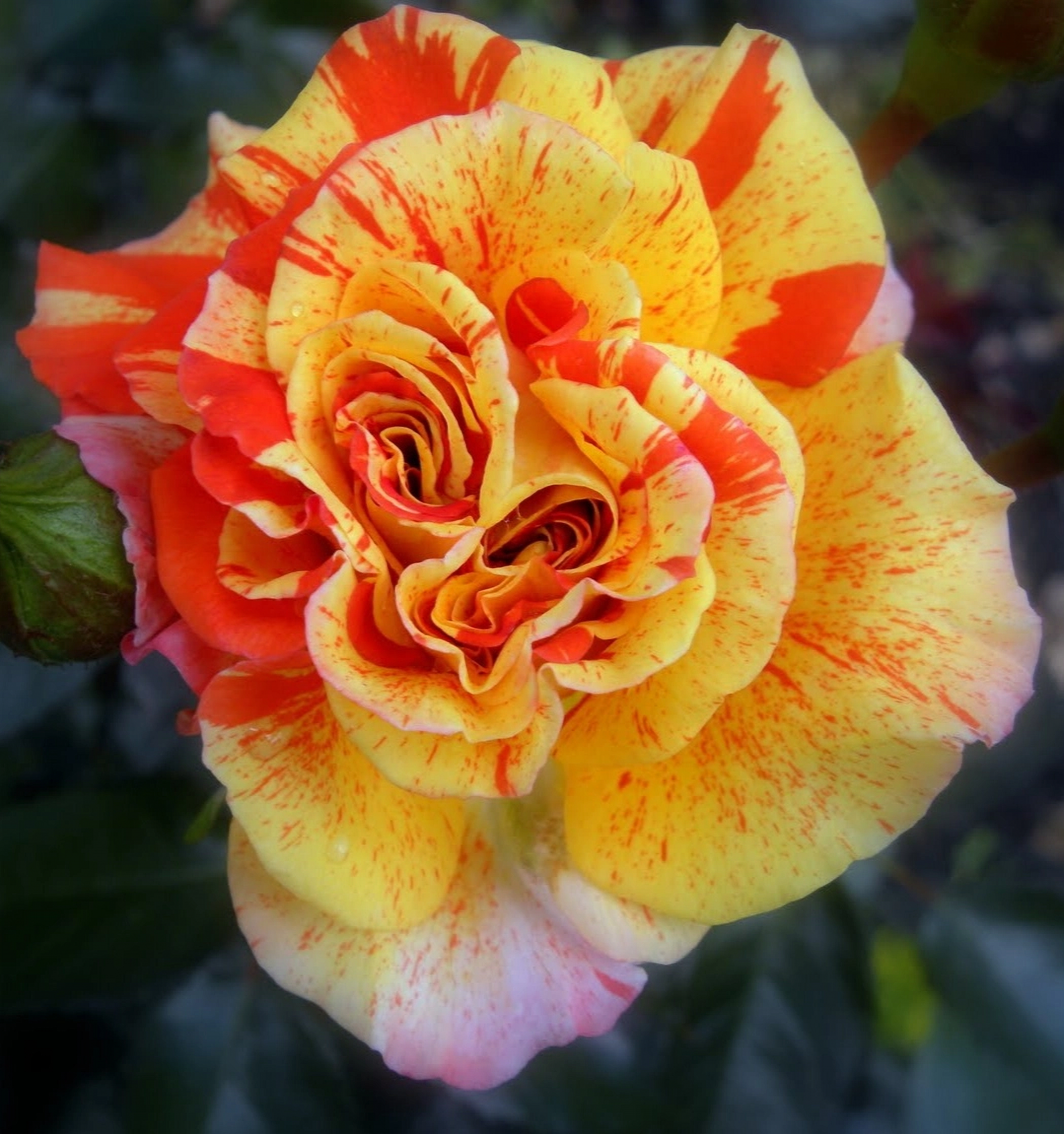 оранж энд 2_edited_edited