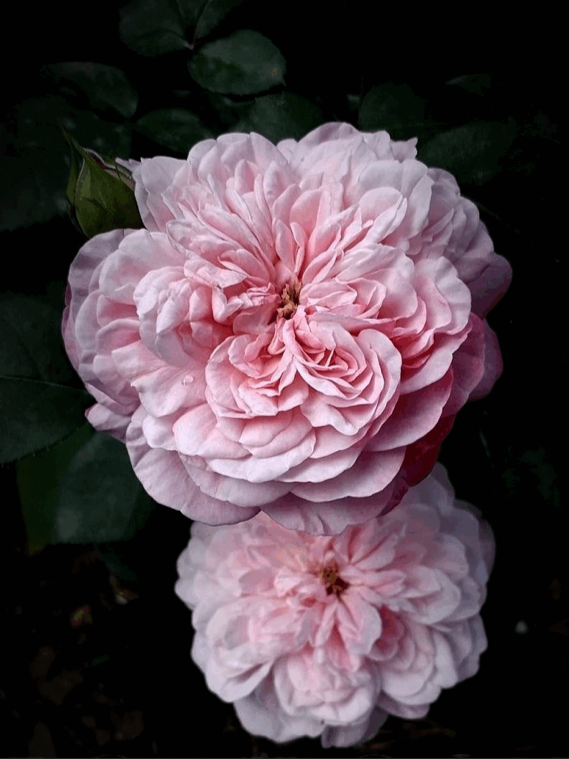 парис 4 _edited_edited